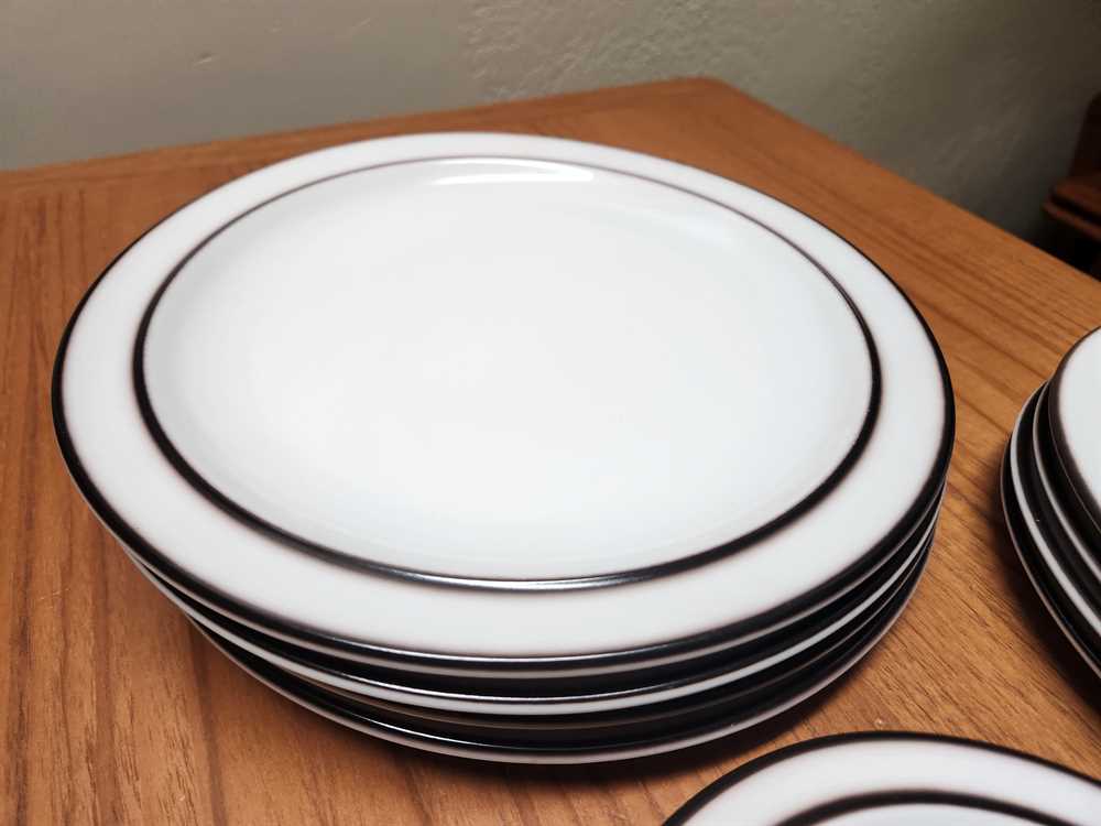 12 Piece Set Thomas Rosenthal Germany Kodiak Dish Set