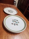 Denby Shamrock Dinner Plate