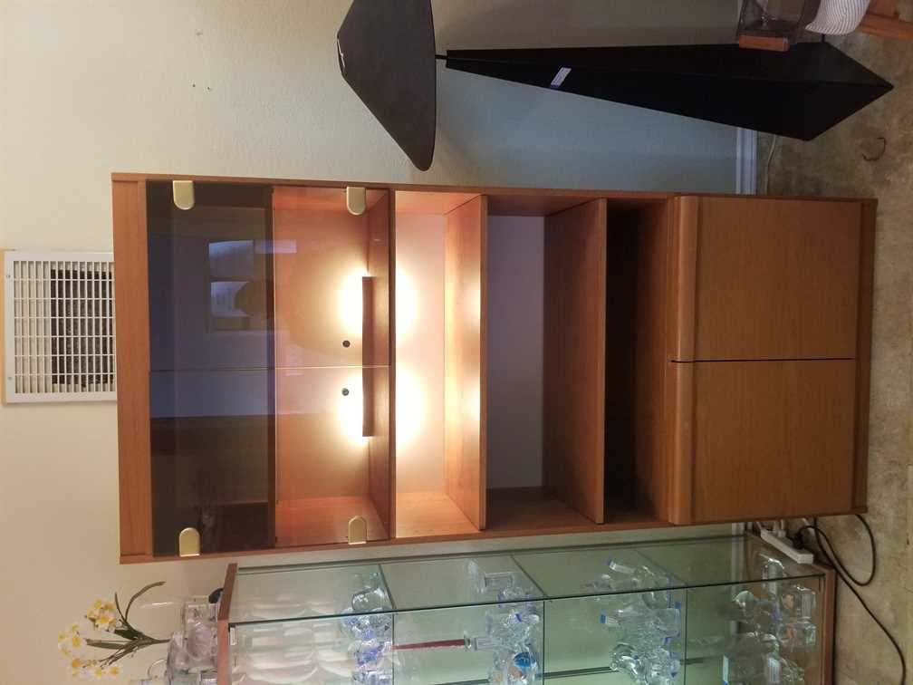Mobican Teak Wall Unit w/ Smoked Glass and lighting