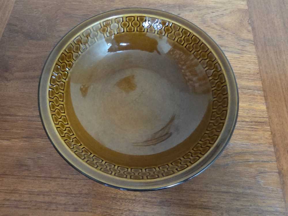 Cambrian Stoneware Japan Serving Bowl