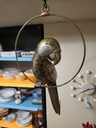 Sergio Bustamante Large Brass & Copper Parrot