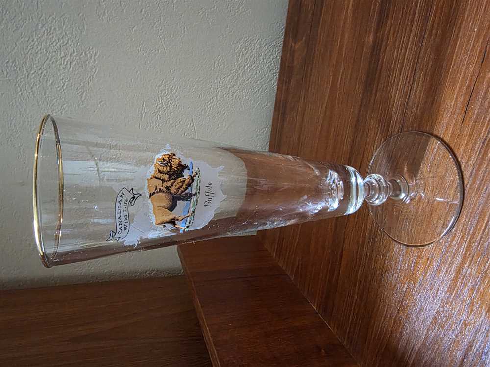 Set of 6 Libbey Canadian Wildlife Pilsner Glasses