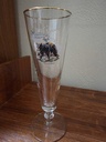 Set of 6 Libbey Canadian Wildlife Pilsner Glasses