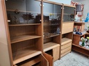 Teak Wall Unit