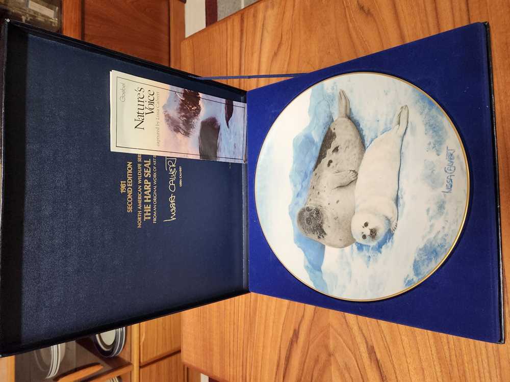 Goebel 1981 Harp Seal Collector's Plate by Lissa Calvert - Signed and Numbered