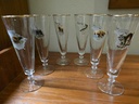 Set of 6 Libbey Canadian Wildlife Pilsner Glasses