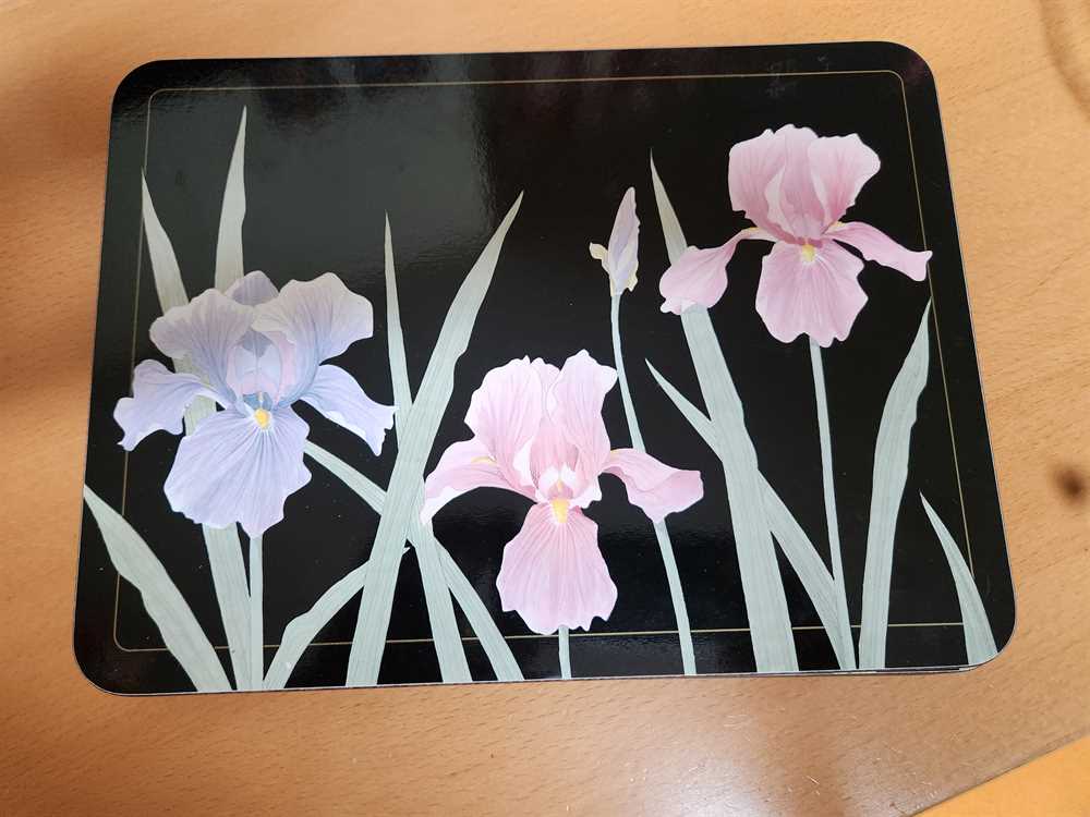 Jason New Zealand Vintage Iristime Black Regular Placemats Set of 6 11